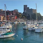 I Delfini