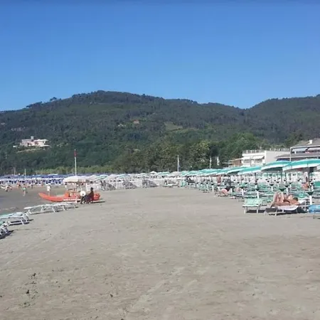 I Delfini